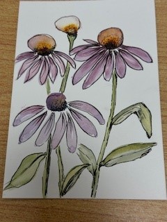 pen ink and wash water colour flowers and pen